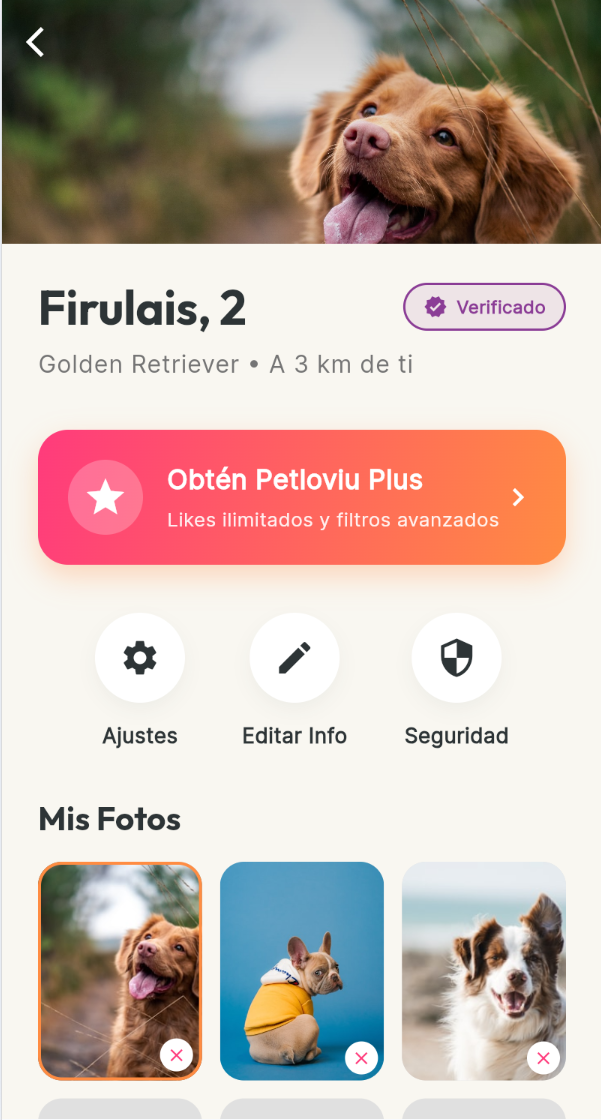 App Screen